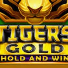 Tigers Gold Hold and Win 