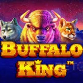 Buffalo King