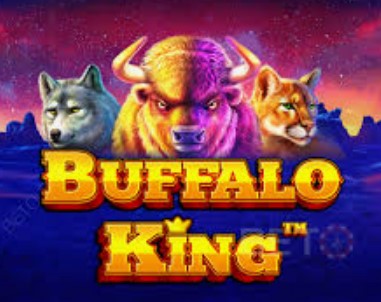 Buffalo King