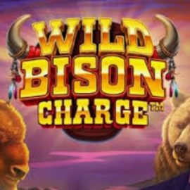 Wild Bison Charge