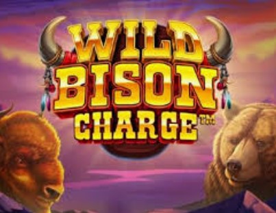 Wild Bison Charge