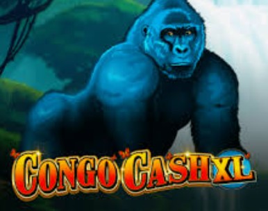 Congo Cash XL