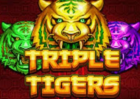 Triple Tigers