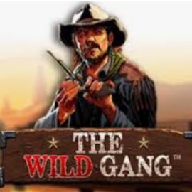 The Wild Gang