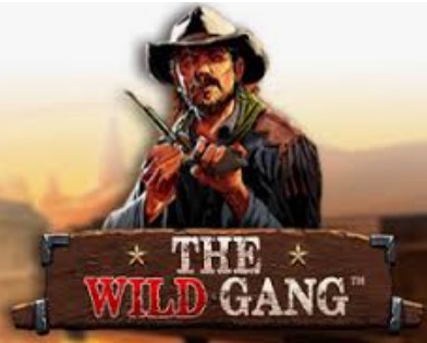 The Wild Gang