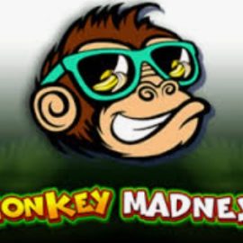 Monkey Madness