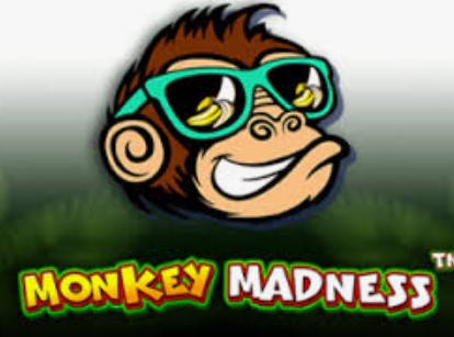 Monkey Madness