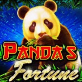 Pandas Fortune