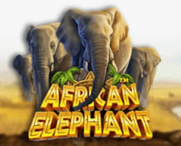 African Elephant