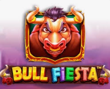 Bull Fiesta