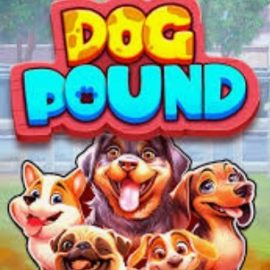 Dog Pound