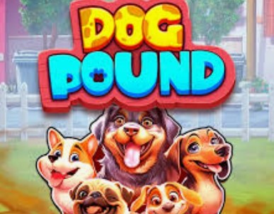 Dog Pound
