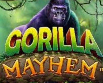 Gorilla Mayhem