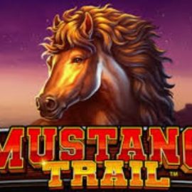 Mustang Trail