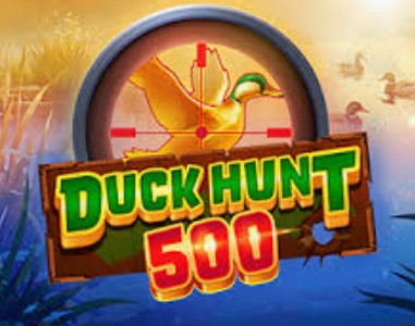Duck Hunt 500