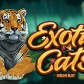 Exotic Cats