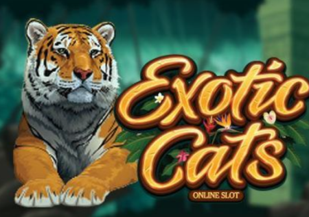 Exotic Cats