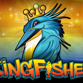 Kingfisher 