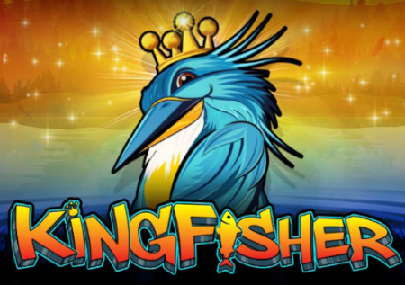 Kingfisher 