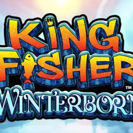Kingfisher Winterborn